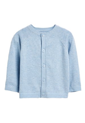 Vest - blue