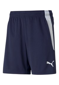 Marineblaue Sportshorts aus glattem Material, mit einem weißen Mesh-Einsatz an der Seite und einem weißen Logo am Saum. Elastischer Bund.