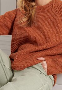 Superdry & Co Neule - orange