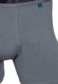 Boxer in grigio realizzati in tessuto morbido, con una vita elasticizzata dotata del logo "JBS UNDERWEAR", superficie liscia e design aderente.