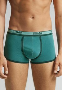 Torso masculino vestido con calzoncillos verdes con ribete oscuro y cinturilla de marca, de pie contra un fondo claro y simple.