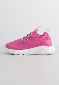 Geox - SPRINTYE - Sneakers basse - fuchsia/watersea Immagine in miniatura 1