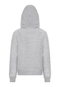 Sudadera con capucha gris que presenta una tela suave y texturizada, puños y dobladillo de canalé, con un diseño de espalda sin costuras. Sin bolsillos frontales visibles.