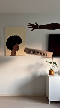 Zalando-Karton in der Luft, umgeben von einer Wand mit einem Silhouettenbild, einer Topfpflanze und einem Fernseher auf einem weißen Schrank.