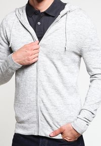 Hellgrauer Reißverschluss-Hoodie aus weichem Stoff mit melierter Textur, ausgestattet mit einem vorderen Reißverschluss und einer Kordelzugkapuze, kombiniert mit einem dunklen Polo.