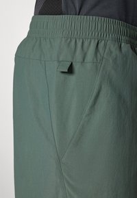 Adidas Terrex MT - Pantalón corto de deporte - legend ivy