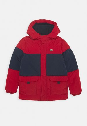Articles Pour Enfant Lacoste Zalando