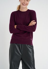 InWear LUKKAIW CREW NECK - Jumper - brown bordeaux