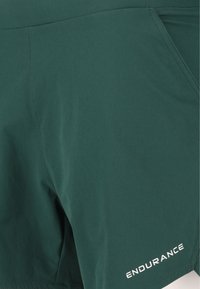 Grüne Sportshorts aus einem glatten, leichten Stoff. Mit einem dezenten Glanz und dem weißen "ENDURANCE"-Logo unten rechts.
