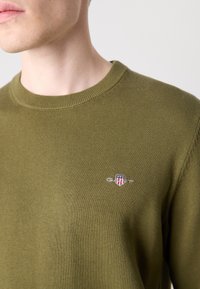 Dunkelolivgrüner Strickpullover mit rundem Halsausschnitt, ausgestattet mit einem kleinen gestickten Logo auf der Brust. Weiche Textur mit gerippten Bündchen.
