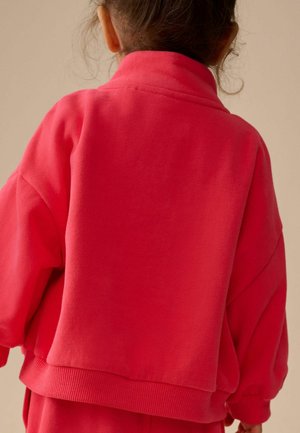 Svetlo roza majica z visokim ovratnikom, ohlapnega kroja, z rebrastimi manšetami in spodnjim robom. Gladek teksture z minimalnimi šivi, pogled od zadaj.