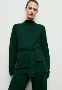 Grüner langärmeliger Pullover mit hohem Kragen und tailliertem Bund, aus weichem Stoff gefertigt, mit lockerer Passform und überschnittenen Schultern.