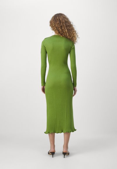 Roheline ribakujuline kudum dress, millega on pikad varrukad, keha ligi, ning lokkis äär. Valmistatud venivast materjalist. Kanti mustade kõrgete kontsadega.