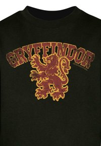 Must vahva t-särk, millel on kulunud Gryffindori logo tumepunases ja kollases, ning tekstist allpool on keskelt lionikujutis.