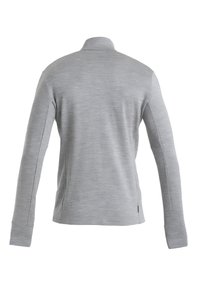 Gray long-sleeve pullover with a collar, made from a soft, textured fabric. Features flat seams and a straight cut design on the back.