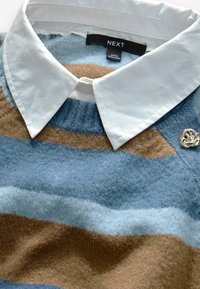 Pull en tricot rayé dans des teintes de bleu, bleu clair et marron ; avec une chemise blanche à col et un accent de broche en argent. Texture douce.