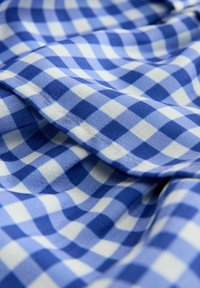 RARA - Jupe trapèze - blue gingham