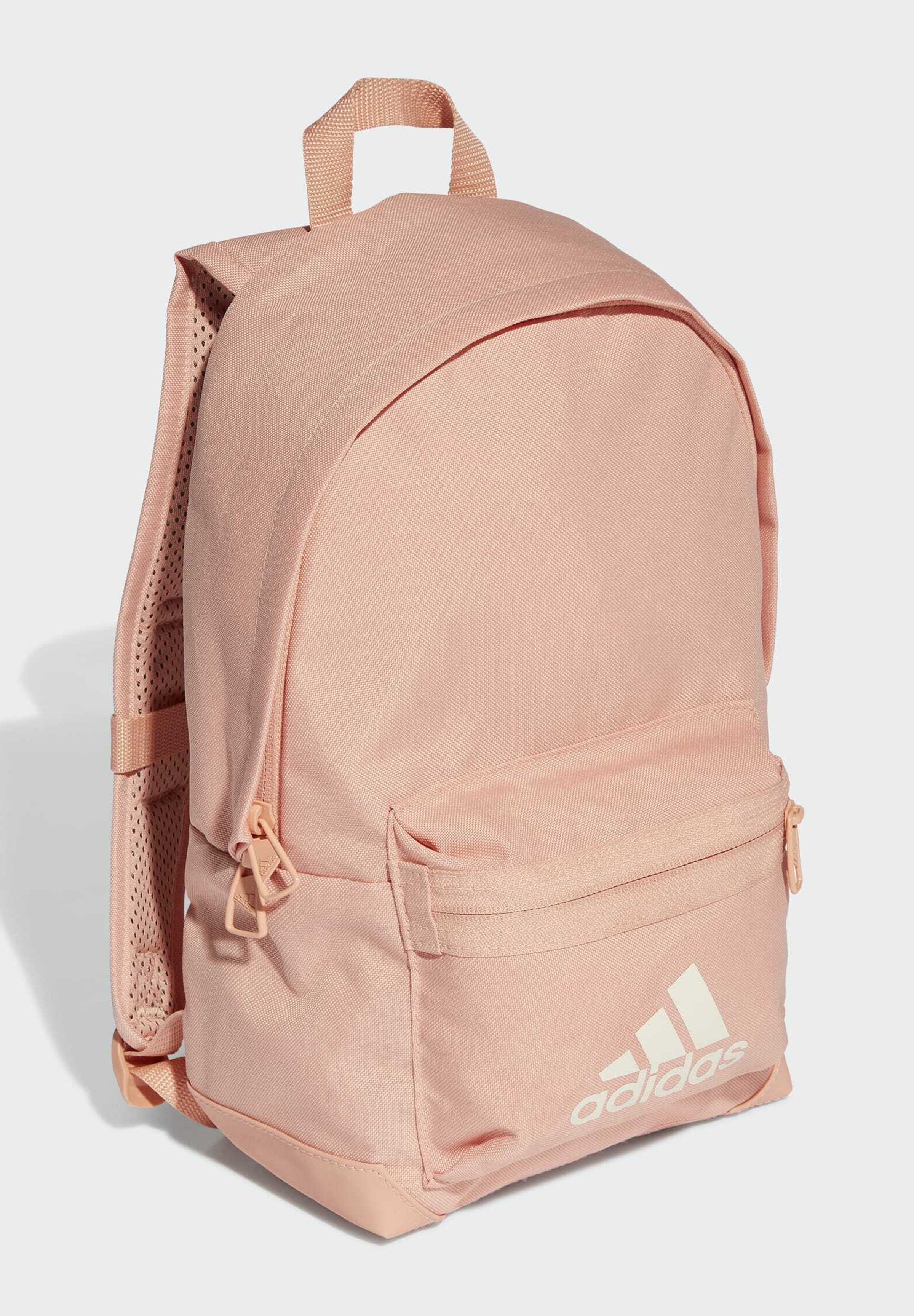 drybolsa ruckensacark