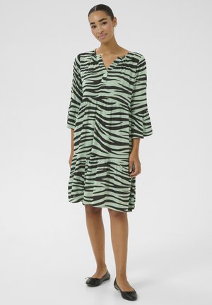 Robe rayée verte et noire avec des manches évasées, décolleté en V, design à volants, tissu doux et coupe décontractée. Portée avec des ballerines noires.
