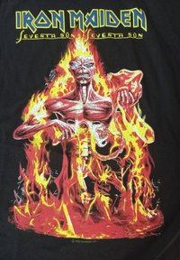 Schwarzes T-Shirt mit lebhaftem Artwork, das eine Skelettfigur zeigt, die von Flammen umgeben ist, eine Gitarre und einen Totenschädel hält. Text in Gelb darüber.