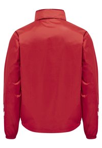 Rote leichte Jacke mit hohem Kragen, elastischen Bündchen und weißen Designelementen an den Ärmeln. Glattes synthetisches Material mit minimaler Textur.