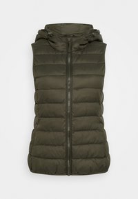 Niet geselecteerd, forest night