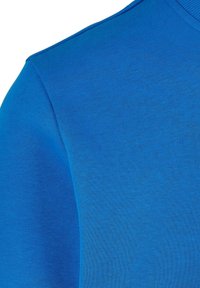Felpa in cotone blu con una texture liscia, caratterizzata da un collo rotondo e dettagli sulla cucitura della spalla, che mostra un colore uniforme senza motivi.