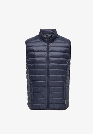 Gilet imbottito blu navy con colletto alto, design trapuntato, zip frontale e due tasche laterali. Materiale liscio e leggero.
