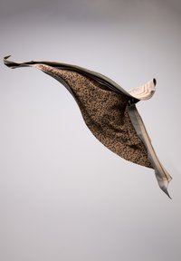 Écharpe marron à motifs avec un design fluide ; bords contrastants en gris et texture douce. Forme ondulée évoquant un mouvement en plein milieu.