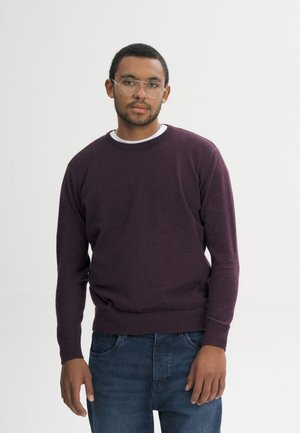 Mann mit kurzen lockigen Haaren und Brille, trägt einen dunkelvioletten Pullover und blaue Jeans, steht vor einem schlichten hellen Hintergrund.