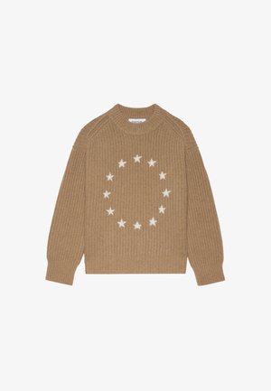 Pull en maille marron avec une texture côtelée et un motif circulaire d'étoiles blanches sur le devant. Encolure ras du cou et manches longues.