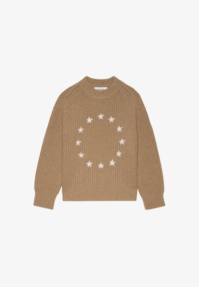 Pull en maille marron avec une texture côtelée et un motif circulaire d'étoiles blanches sur le devant. Encolure ras du cou et manches longues.