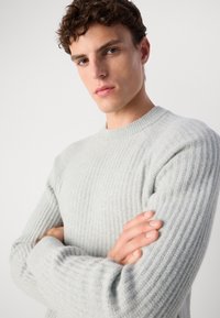 Pull en tricot gris clair avec une texture côtelée, encolure ras du cou et manches longues. Le tissu semble doux et légèrement duveteux.