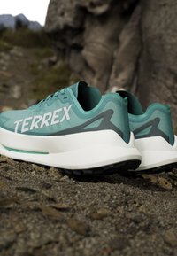 Par af turkis og hvide Terrex trailsko placeret på klippefyldt jord med store sten og grønt i det slørede baggrund.