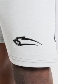 Smilodox NALE TRAINING SHORTS - Korte broeken - hellgrau