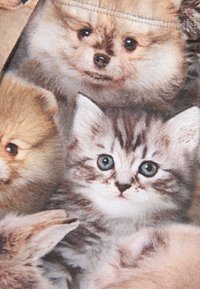 Light fabric featuring an all-over print of various puppies and kittens in shades of tan, gray, and cream, showcasing distinct facial features and expressions.