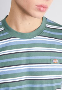 Detailní záběr na osobu v zeleném, modrém, bílém a černém pruhovaném tričku Dickies s kulatým výstřihem.