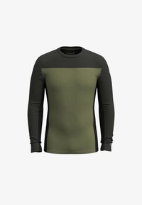 Unausgewählt, winter moss north woods