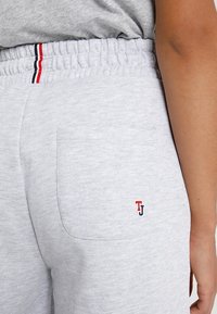 Helle graue Sweatpants mit einem elastischen Bund, der einen rot, weiß und blau gestreiften Akzent aufweist. Kleines Logo "TJ" in Rot und Marineblau auf der Tasche.