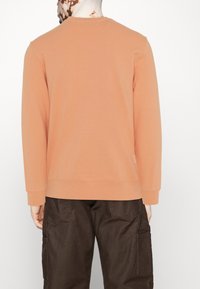 Felpa arancione chiaro con maniche lunghe, polsini e orlo a costine, texture morbida e design minimalista, abbinata a pantaloni cargo marrone scuro.