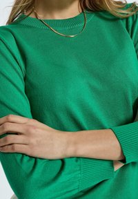 Grüner Strickpullover mit geripptem Ausschnitt und Bündchen. Hat figurbetonte lange Ärmel und eine weiche Textur. Akzentuiert durch eine zarte Goldkette.