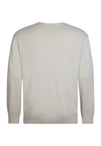 Maglione beige chiaro realizzato in morbido cotone. Presenta un collo a giro e maniche lunghe. Design semplice con polsi e orlo a coste.
