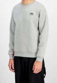 Graues Sweatshirt mit Rundhalsausschnitt aus weicher Baumwolle, mit kleinem schwarzem Logo auf der Brust und gerippten Bündchen und Saum für einen sicheren Sitz.
