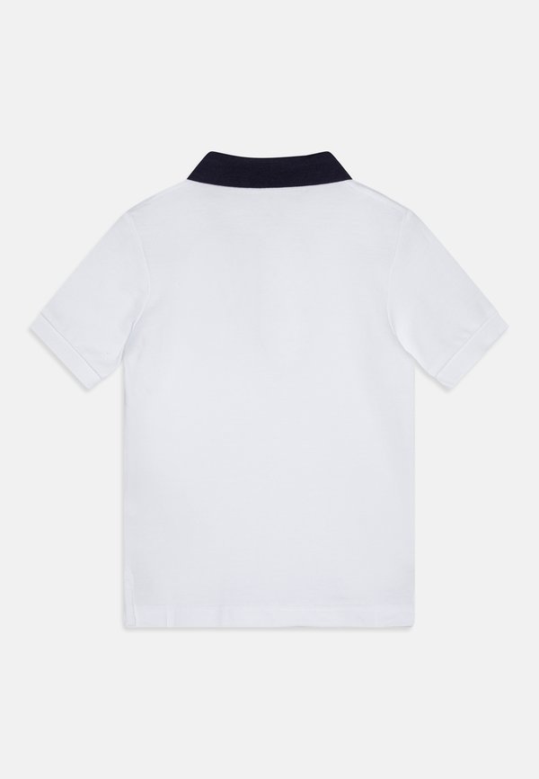 STRIPE COLLAR - Polo shirt3