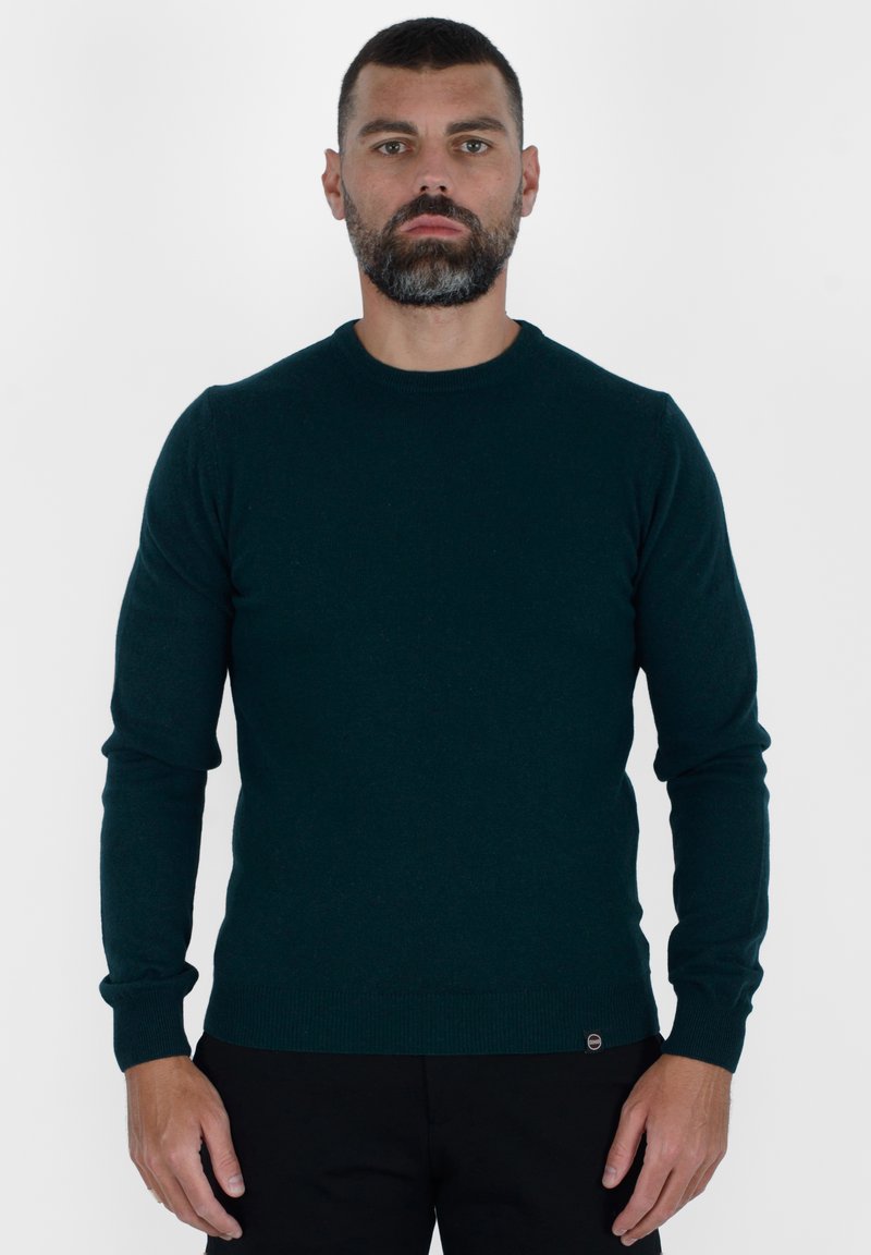 Maglione a maglia verde scuro con maniche lunghe, scollatura rotonda e polsini e orlo a coste. Presenta un piccolo dettaglio del logo nella parte inferiore.