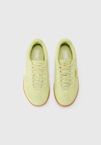 Light green suede sneakers with a gum rubber sole, featuring tonal stitching, rounded toe, and flat laces. White and gold logo accents visible.