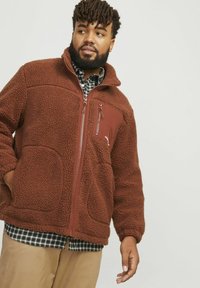 Jack & Jones JORVESTERBRO  - Vinterjakker - brown