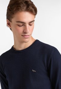 Suéter de punto azul marino con escote redondo, que presenta un pequeño diseño bordado de un dachshund en el lado izquierdo del pecho. Textura suave.