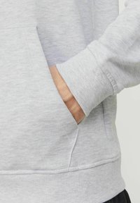 Jack & Jones JJZURI  - Felpa con cappuccio - white melange