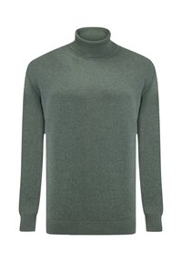 BASIC TURTLENECK - Svetr - green